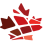 Federation of Black Canadians