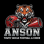 Anson Youth Tackle Football and Cheer