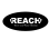 REACH Youth and Family Theatre