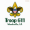 AMERICAN LEGION MANDEVILLE POST #415, INC. DBA TROOP 611