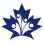 Young Professionals Canada