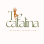 The Catalina Wellness Foundation