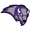 Buffalo Bison Girls Swim And Dive Boosters