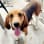 Humane Society of Muhlenberg County