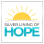 Silver Lining Of Hope