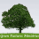 Green Pastures Ministries