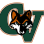 CVHS Swim & Dive Boosters