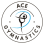 Ace Gymnastics Foundation
