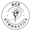 Ace Gymnastics Foundation