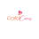 Carlai Cares Foundation Inc
