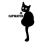 JC CATWATCH INC