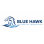 Blue Hawk Aquatics Foundation