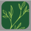 Beloved Builders Inc