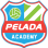 Pelada Football Academy