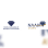 Atlanta Association of Insurance Professionals Incorporated