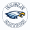 Eagle Nation