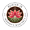 Rooted In Womens Wellness