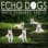 Echo Dogs White Shepherd Rescue Inc