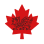 Vancouver Welsh Men's Choir