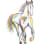 The Horse Of Many Colors