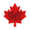 Vancouver Welsh Men's Choir