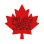 Vancouver Welsh Men's Choir