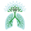 Washington Respiratory Care Foundation