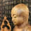 Fraternal Order of the Great Lights / Jizo-An Zen Community / The Zen Society