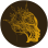 crown roots foundation