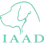 Infinite Abilities Assistance Dogs