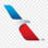 American Airlines STL Rec Committee