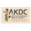 Arts And Kuchipudi Dance Charity