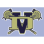 Desert Vista Girls Lacrosse