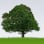 Green Pastures Ministries