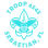 BSA Troop 4545
