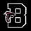 Bellingham American Youth Football And Cheerleading