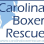 Carolina Boxer Rescue