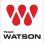 Team Watson Foundation Inc