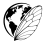Global Entomology Coalition