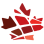 Federation of Black Canadians