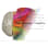 Sia Yorker Brain Awareness Scholarship Foundation, Inc.