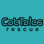 Cat Tales Rescue