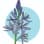 Camas Ridge Community Organization