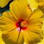 Punta Gorda Woman's Club, Inc.