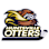 Huntsville Minor Hockey Association