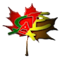 Cameroonian Association of Edmonton - Association Camerounaise d'Edmonton (CAE-ACE)