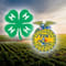 Louisiana Future Farmers Of America Foundation