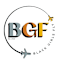 Black Girls Fly Inc