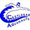 Castlegar Aquanauts Swim Club