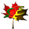 Cameroonian Association of Edmonton - Association Camerounaise d'Edmonton (CAE-ACE)